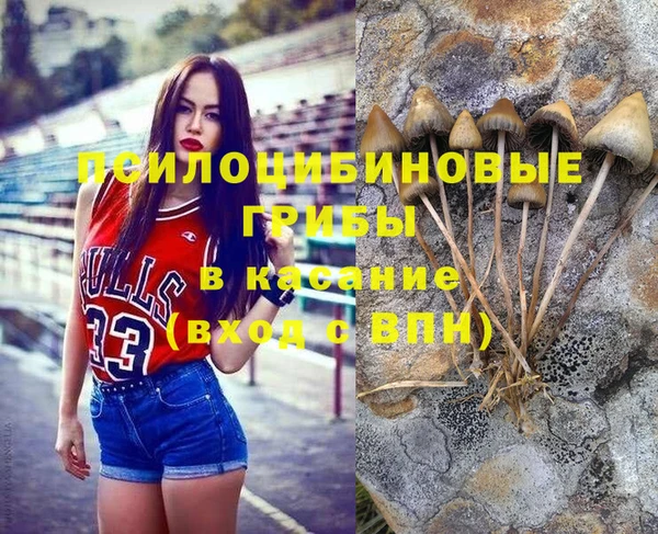 эйфоретик Белокуриха