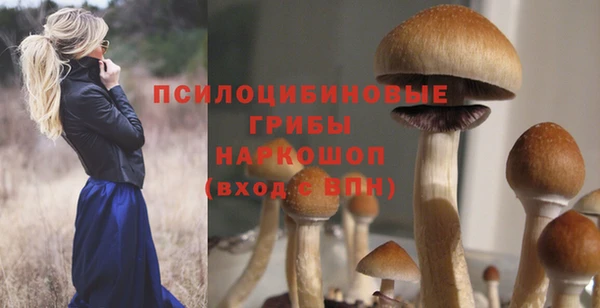 соль ск Беломорск