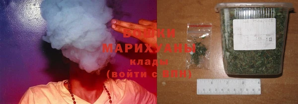 эйфоретик Белокуриха
