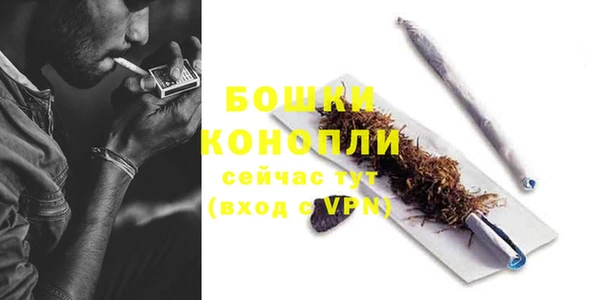 эйфоретик Белокуриха