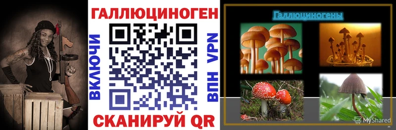 darknet состав  закладки  Верхотурье  Галлюциногенные грибы Psilocybine cubensis 